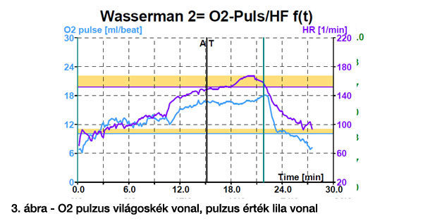 Mire utal a pulzusszám? Mennyi az optimális tartomány?