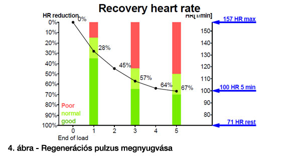 egészségügyi pulzusszám grafikon